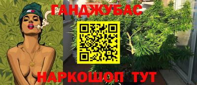 a pvp Краснодар