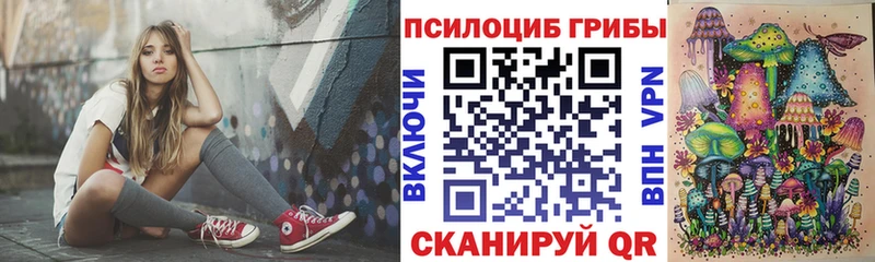 купить наркотик  Заринск  Галлюциногенные грибы GOLDEN TEACHER 