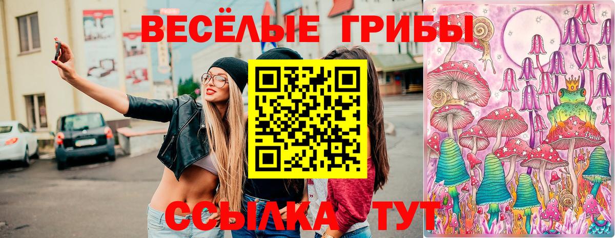 Галлюциногенные грибы GOLDEN TEACHER Заринск