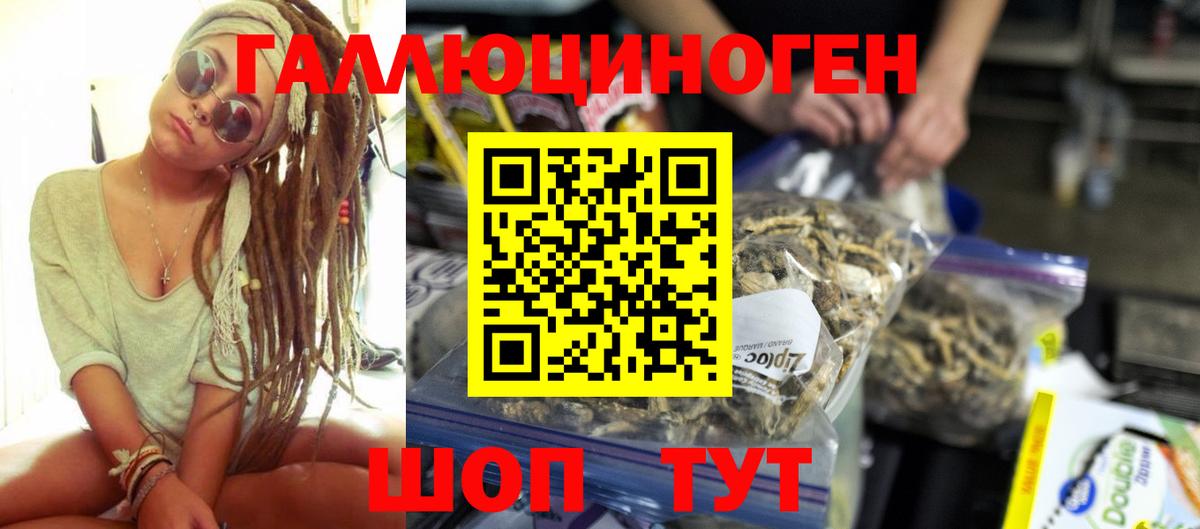 Псилоцибиновые грибы Cubensis  Галлюциногенные грибы мицелий  Вход с VPN  Заринск 